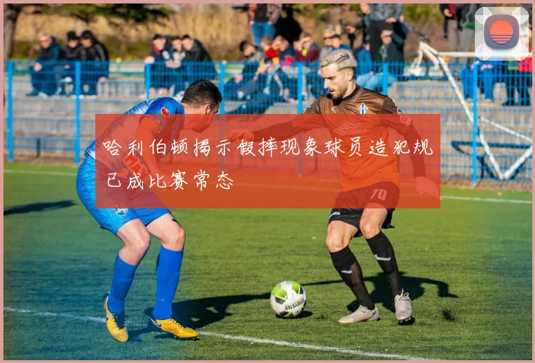 哈利伯顿揭示假摔现象球员造犯规已成比赛常态